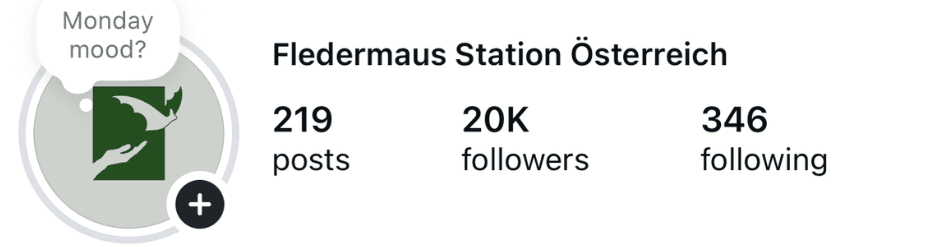 Fledermaus Station Österreich Instagram profile showing 20,000 followers